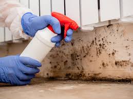 Mold Odor Removal Services in Queens Gate, PA